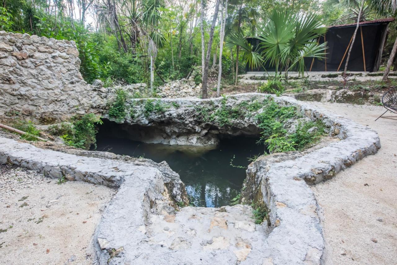 Casa Costal - Glamping Experience Hotel Puerto Morelos Bagian luar foto