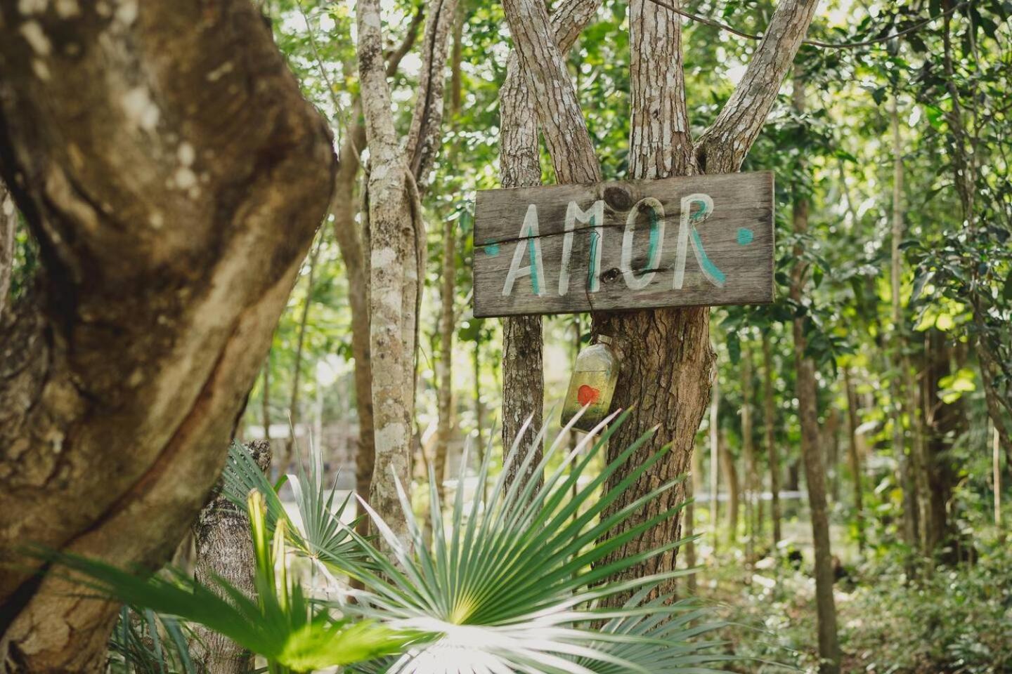 Casa Costal - Glamping Experience Hotel Puerto Morelos Bagian luar foto