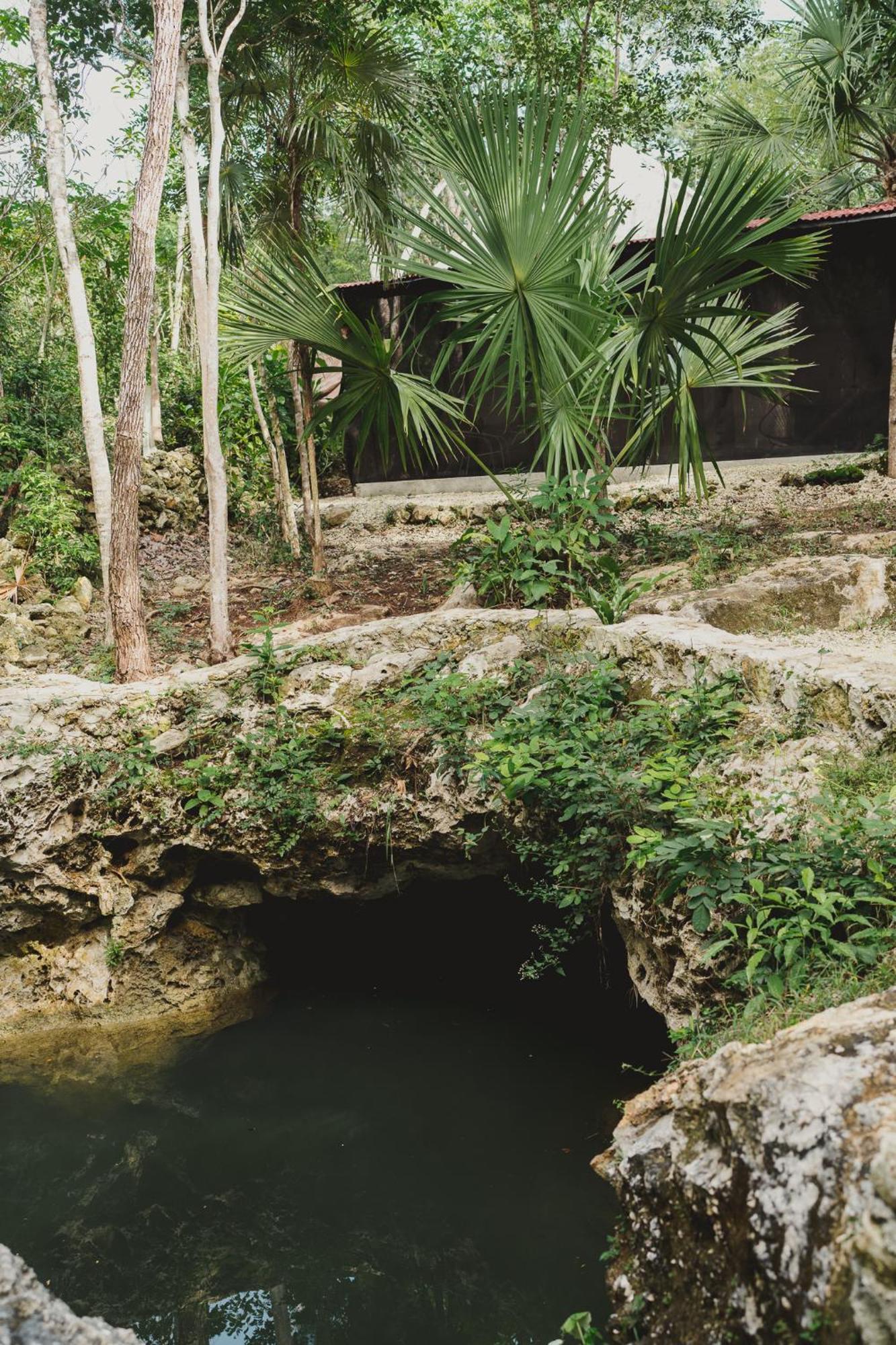 Casa Costal - Glamping Experience Hotel Puerto Morelos Ruang foto